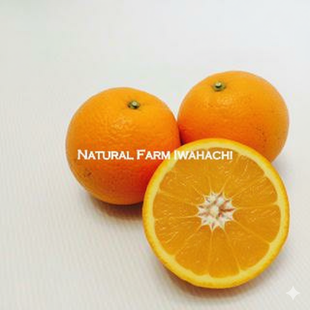 甘夏（あまなつ）