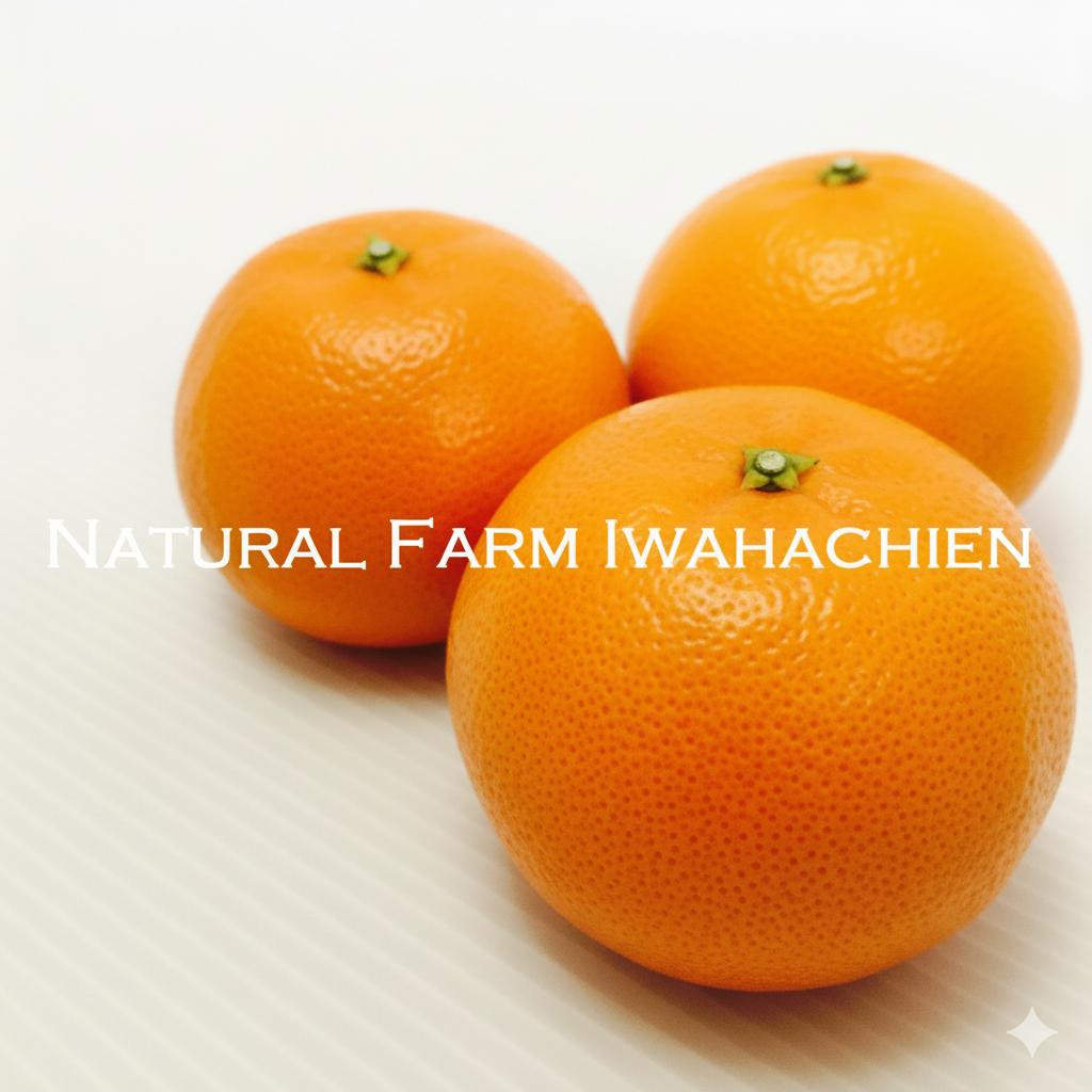 南津海（なつみ）